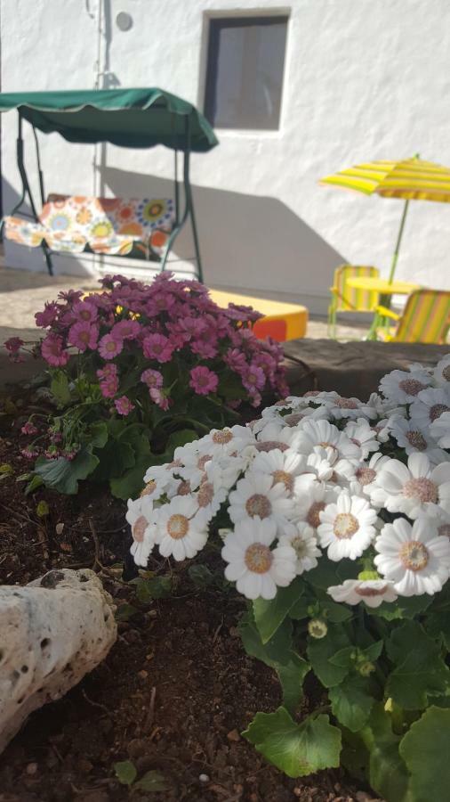 Trullo Amicizia Βίλα Αλμπερομπέλο Εξωτερικό φωτογραφία