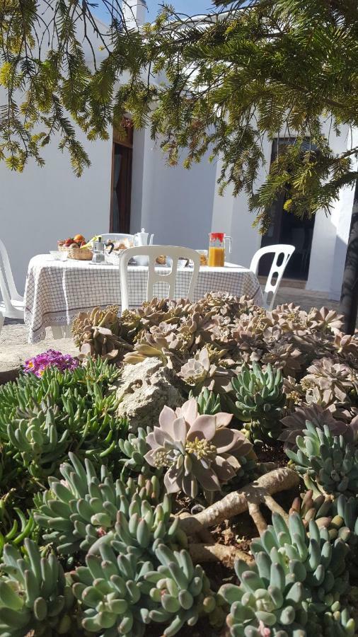 Trullo Amicizia Βίλα Αλμπερομπέλο Εξωτερικό φωτογραφία