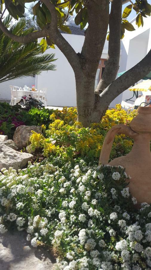 Trullo Amicizia Βίλα Αλμπερομπέλο Εξωτερικό φωτογραφία